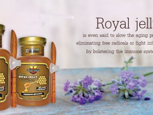 Royal-jelly-is-a-good-source-of-bifidobacteria-ecothaihoney-ecothaihoney-page